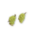Scented Grape Stud Earrings - Decadent Minis
